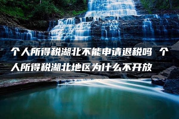 个人所得税湖北不能申请退税吗 个人所得税湖北地区为什么不开放