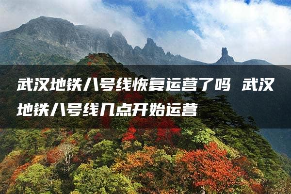 武汉地铁八号线恢复运营了吗 武汉地铁八号线几点开始运营