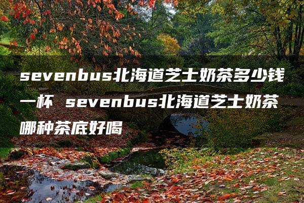 sevenbus北海道芝士奶茶多少钱一杯 sevenbus北海道芝士奶茶哪种茶底好喝