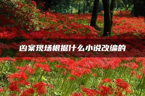 凶案现场根据什么小说改编的