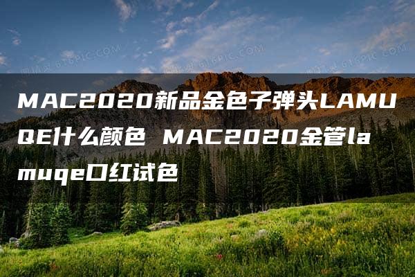 MAC2020新品金色子弹头LAMUQE什么颜色 MAC2020金管lamuqe口红试色