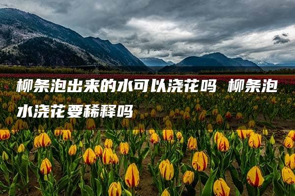 柳条泡出来的水可以浇花吗 柳条泡水浇花要稀释吗