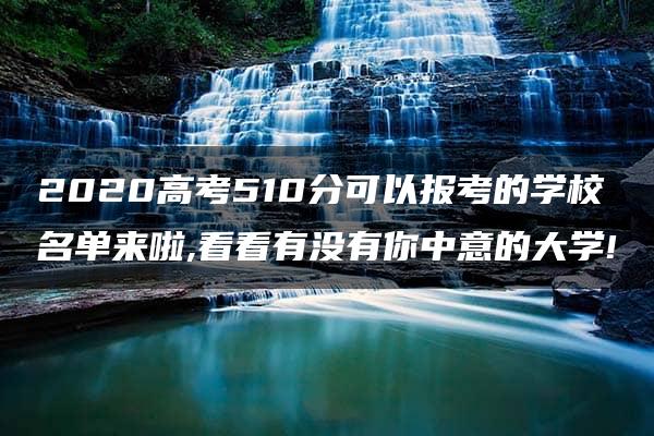 2020高考510分可以报考的学校名单来啦,看看有没有你中意的大学!