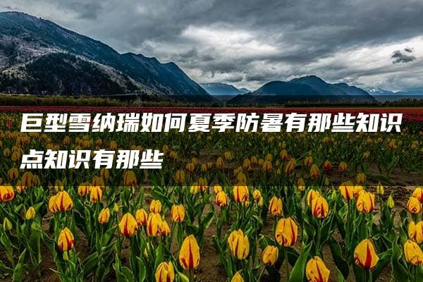 巨型雪纳瑞如何夏季防暑有那些知识点知识有那些