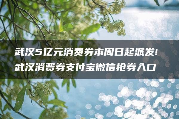 武汉5亿元消费券本周日起派发! 武汉消费券支付宝微信抢券入口