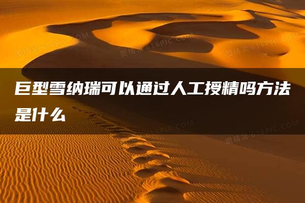 巨型雪纳瑞可以通过人工授精吗方法是什么