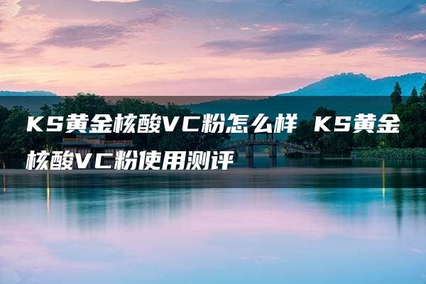 KS黄金核酸VC粉怎么样 KS黄金核酸VC粉使用测评