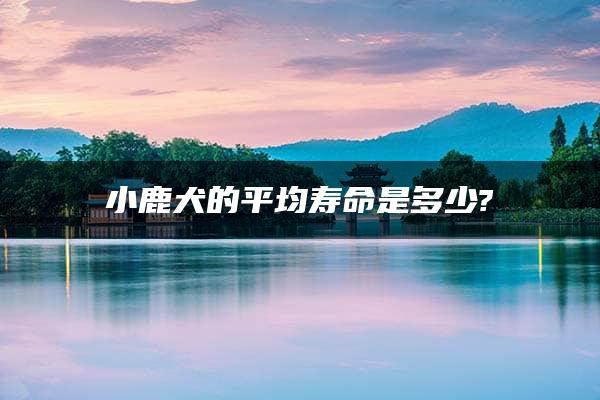 小鹿犬的平均寿命是多少?