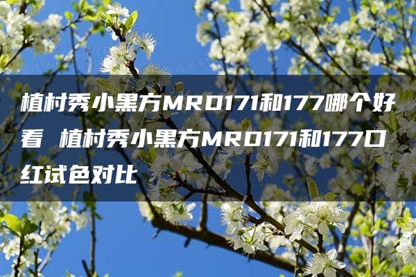 植村秀小黑方MRD171和177哪个好看 植村秀小黑方MRD171和177口红试色对比