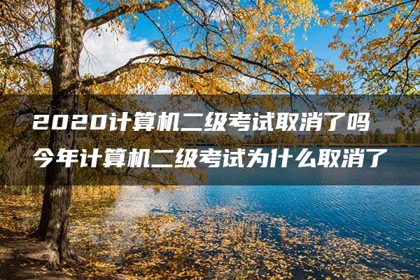 2020计算机二级考试取消了吗 今年计算机二级考试为什么取消了