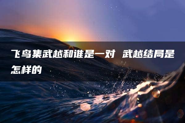 飞鸟集武越和谁是一对 武越结局是怎样的