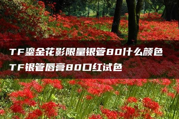 TF鎏金花影限量银管80什么颜色 TF银管唇膏80口红试色