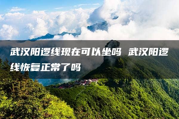 武汉阳逻线现在可以坐吗 武汉阳逻线恢复正常了吗