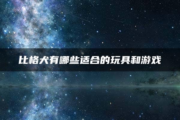 比格犬有哪些适合的玩具和游戏