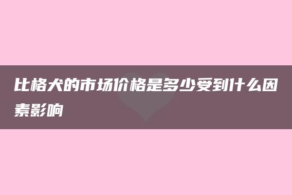 比格犬的市场价格是多少受到什么因素影响