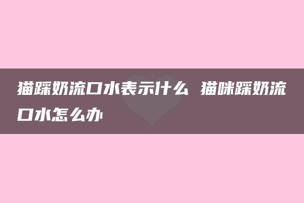 猫踩奶流口水表示什么 猫咪踩奶流口水怎么办