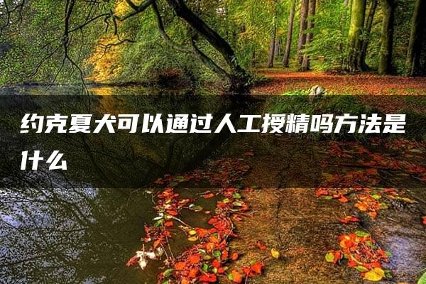 约克夏犬可以通过人工授精吗方法是什么