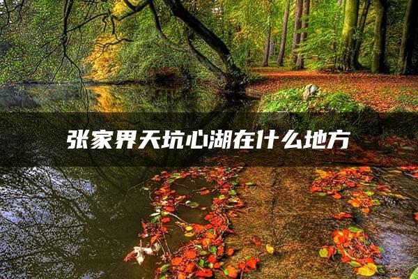 张家界天坑心湖在什么地方