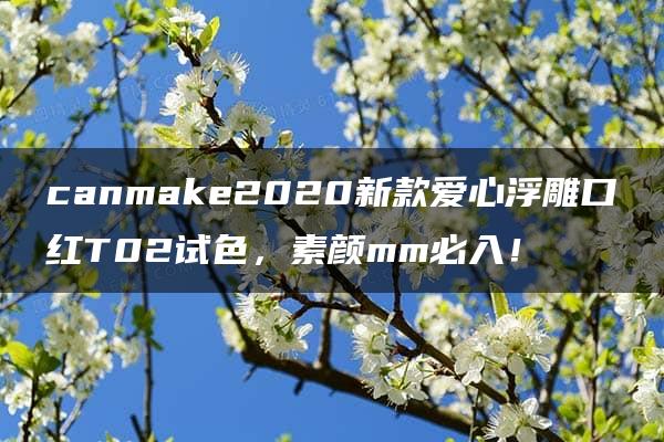 canmake2020新款爱心浮雕口红T02试色，素颜mm必入！