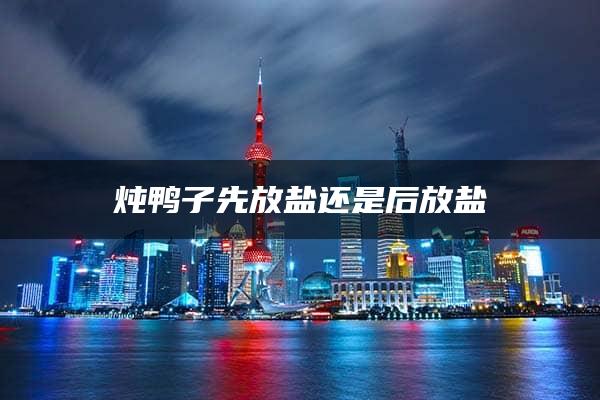 炖鸭子先放盐还是后放盐