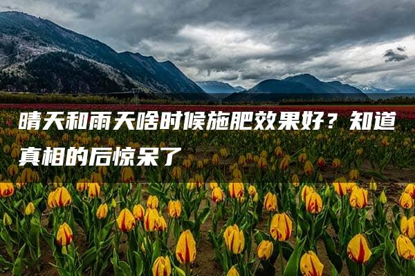 晴天和雨天啥时候施肥效果好？知道真相的后惊呆了