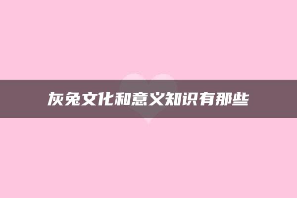 灰兔文化和意义知识有那些