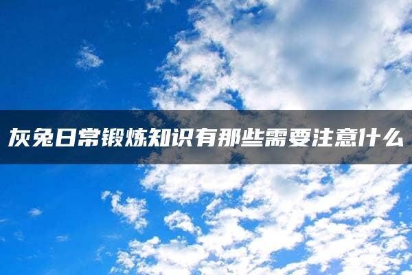 灰兔日常锻炼知识有那些需要注意什么