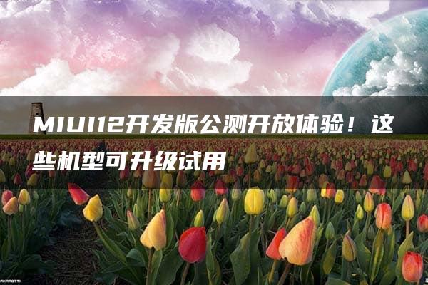 MIUI12开发版公测开放体验！这些机型可升级试用