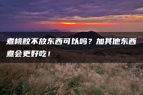 煮桃胶不放东西可以吗？加其他东西煮会更好吃！