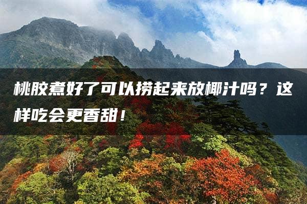 桃胶煮好了可以捞起来放椰汁吗？这样吃会更香甜！