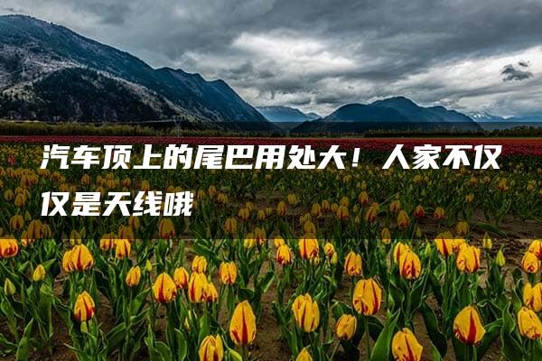 汽车顶上的尾巴用处大！人家不仅仅是天线哦