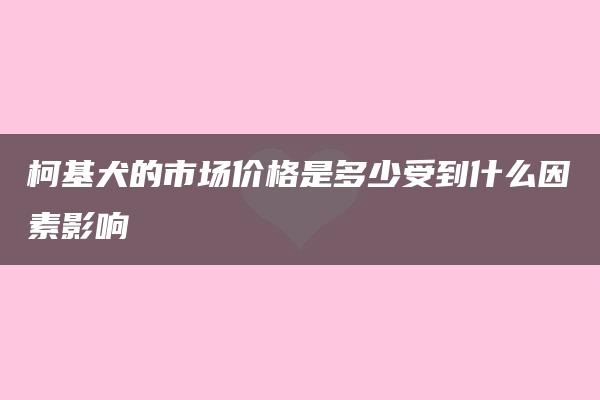 柯基犬的市场价格是多少受到什么因素影响