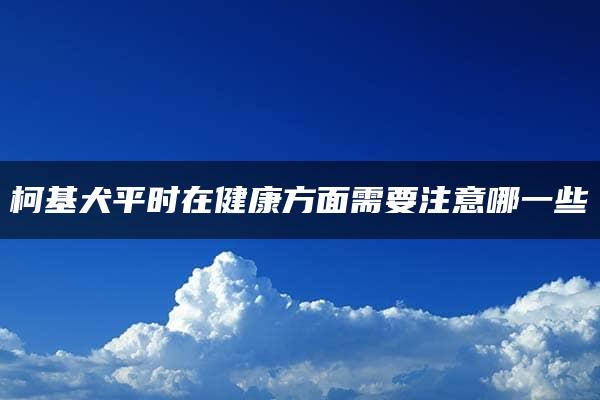 柯基犬平时在健康方面需要注意哪一些