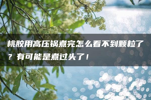 桃胶用高压锅煮完怎么看不到颗粒了？有可能是煮过头了！