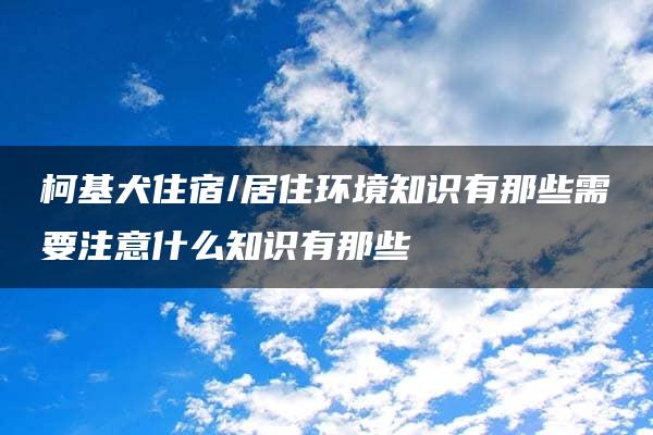 柯基犬住宿/居住环境知识有那些需要注意什么知识有那些