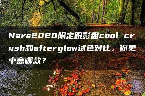 Nars2020限定眼影盘cool crush和afterglow试色对比，你更中意哪款？