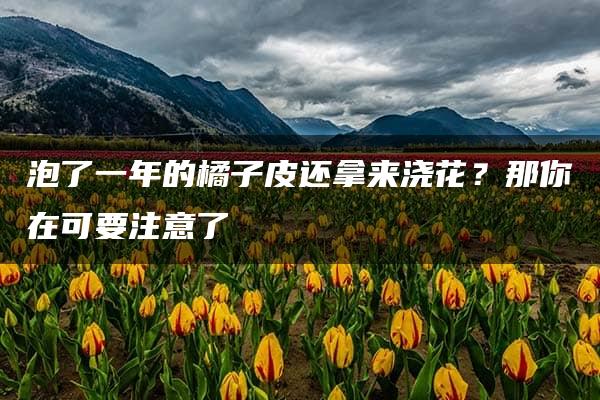 泡了一年的橘子皮还拿来浇花？那你在可要注意了