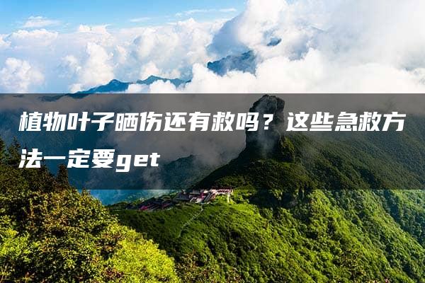 植物叶子晒伤还有救吗？这些急救方法一定要get