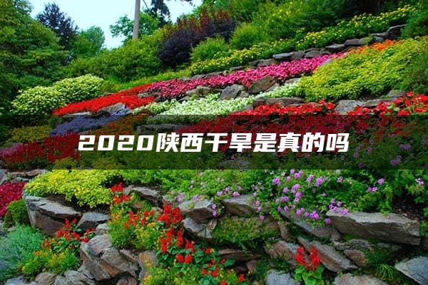 2020陕西干旱是真的吗