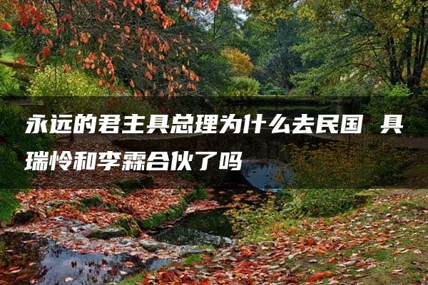 永远的君主具总理为什么去民国 具瑞怜和李霖合伙了吗