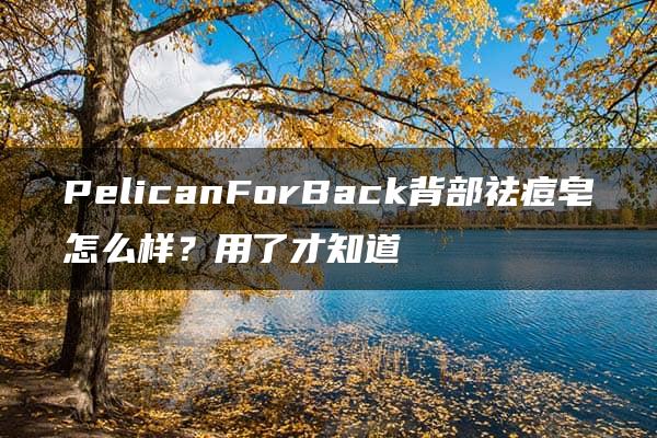 PelicanForBack背部祛痘皂怎么样？用了才知道