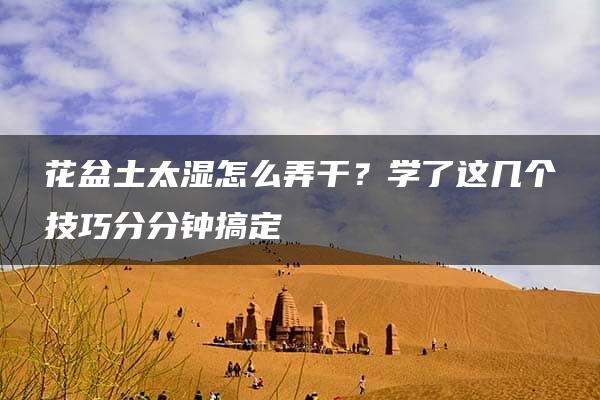 花盆土太湿怎么弄干？学了这几个技巧分分钟搞定