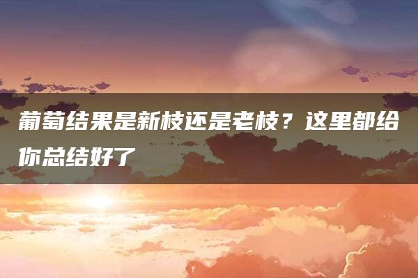 葡萄结果是新枝还是老枝？这里都给你总结好了