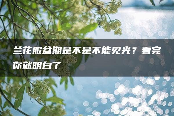 兰花服盆期是不是不能见光？看完你就明白了