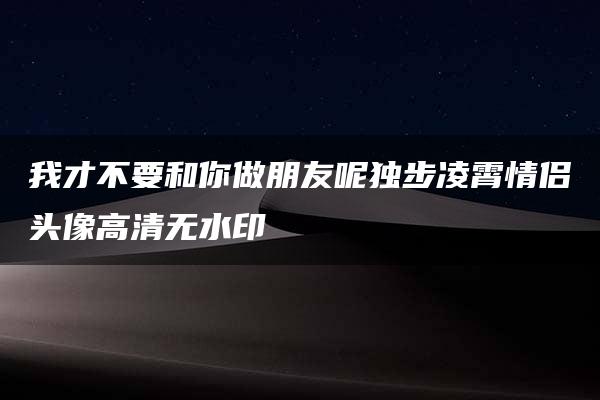 我才不要和你做朋友呢独步凌霄情侣头像高清无水印