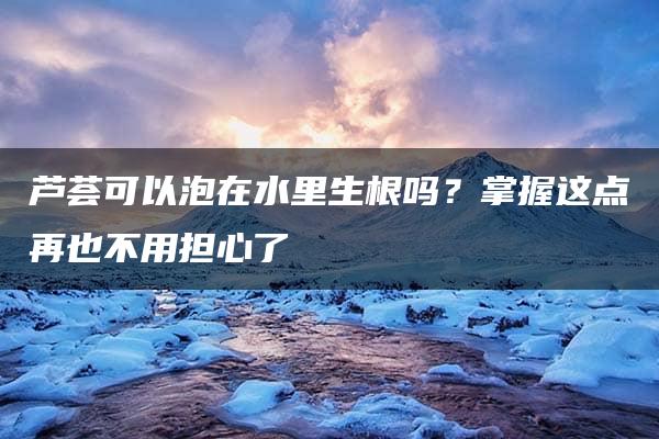 芦荟可以泡在水里生根吗？掌握这点再也不用担心了