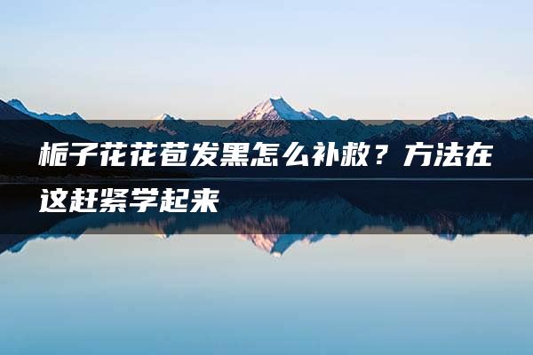 栀子花花苞发黑怎么补救？方法在这赶紧学起来