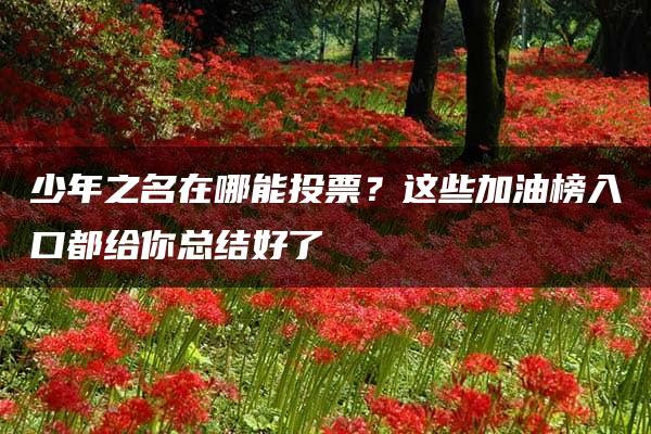 少年之名在哪能投票？这些加油榜入口都给你总结好了