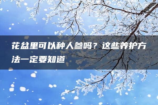 花盆里可以种人参吗？这些养护方法一定要知道