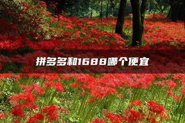 拼多多和1688哪个便宜